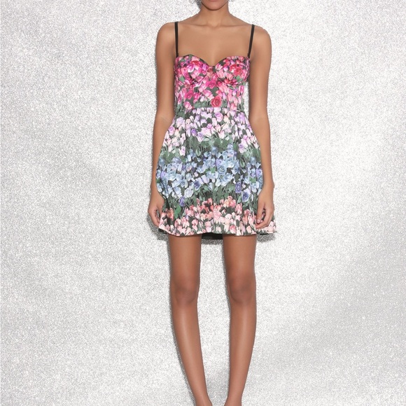 Fleur Du Mal Rose Stripe Silk Bustier Dress NEW w tags SIZE 10 - Picture 4 of 8